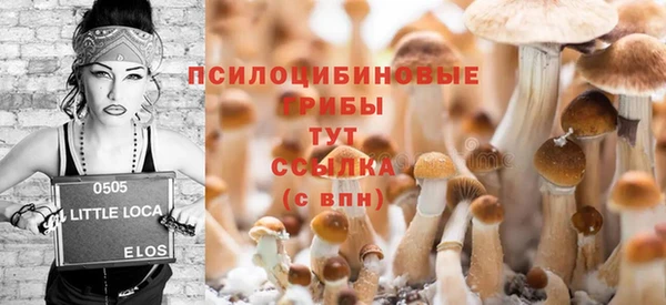 спайс Гусиноозёрск