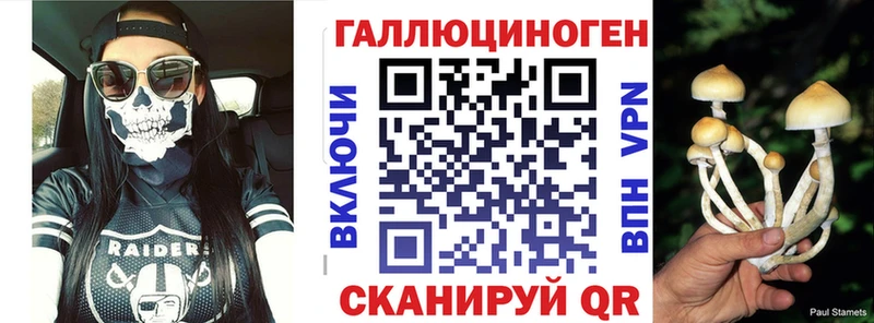 Галлюциногенные грибы Cubensis Удомля